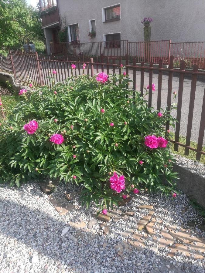 Apartmán Drevenica Zapadne Tatry S Kupacou Kadou A Krbom Žiar Exteriér fotografie