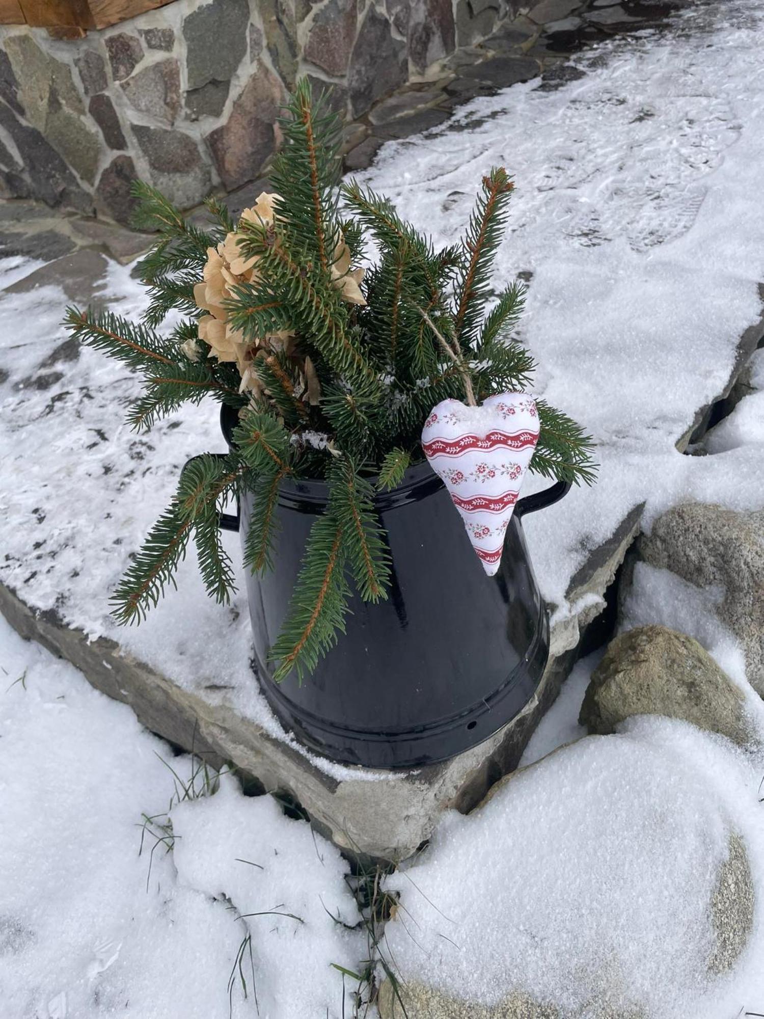 Apartmán Drevenica Zapadne Tatry S Kupacou Kadou A Krbom Žiar Exteriér fotografie