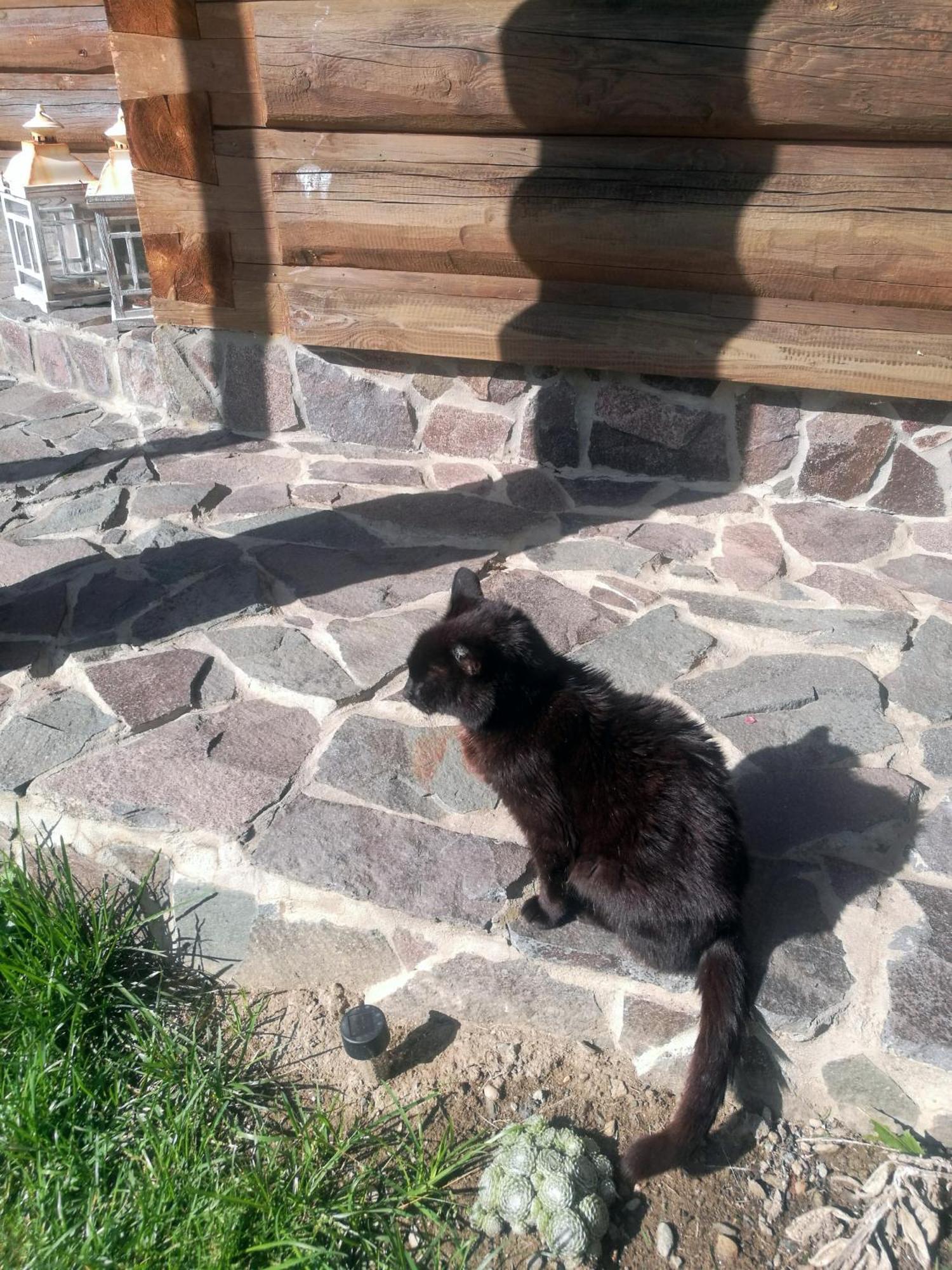 Apartmán Drevenica Zapadne Tatry S Kupacou Kadou A Krbom Žiar Exteriér fotografie